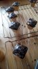 IMG-20161114-WA0001.jpg