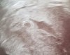 20161207_105320.jpg