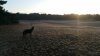 20161018_084950.jpg
