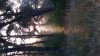 20161018_084631.jpg