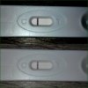 PhotoGrid_1483364815105.jpg