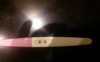 IMG-20170104-WA0000.jpg