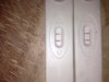 17 dpo flits.jpg