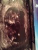 IMG-20170106-WA0012.jpg