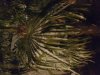 20170107_000544.jpg