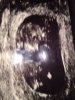 IMG-20170106-WA0013.jpg