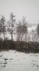 20170113_093056.jpg