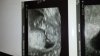 IMG-20170113-WA0000.jpg