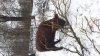 20170113_104518.jpg