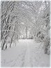 DSCN6279-001.jpg