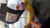 20170119_124133.jpg