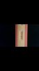 Screenshot_20170124-182029.jpg