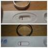 10 en 11 DPO.jpg