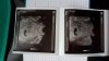 IMG-20170130-WA0006.jpg