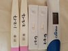 20170202_122843.jpg