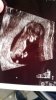 IMG-20170203-WA0022.jpg