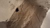 IMG-20170131-WA0003.jpg