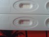 20170210_103136.jpg