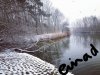 20170211_134030.jpg