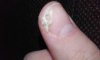20170220_210922.jpg