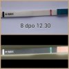 PhotoGrid_1487850836693.jpg