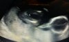20170223_233138.jpg