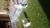 IMG-20170224-WA0003.jpg