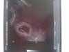 20170228_113735.jpg