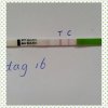 PhotoGrid_1488367096231.jpg