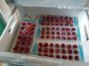 20170301_142438.jpg