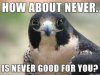 never.jpg