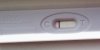 8dpo kr.jpg