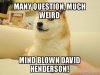 many-question-much.jpg