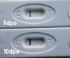9 10 dpo.jpg