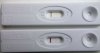 10, 11 dpo.jpg