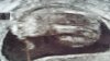 20170310_170810.jpg