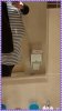 PhotoGrid_1490037327718.jpg