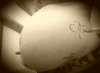 20170320_214832.jpg