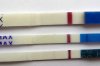 r2 8dpo.jpg