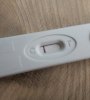 20170329_101817-1.jpg
