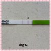 PhotoGrid_1490781480923.jpg