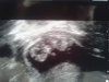 20170330_093910.jpg