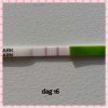 PhotoGrid_1490945247162.jpg