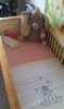 IMAG0509.jpg