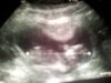 20121011_195529.jpg