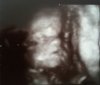foto-6.jpg