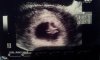 20121019_185836.jpg