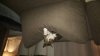 20170123_182500.jpg