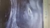 20170403_131212.jpg