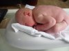 SAM_0555.jpg